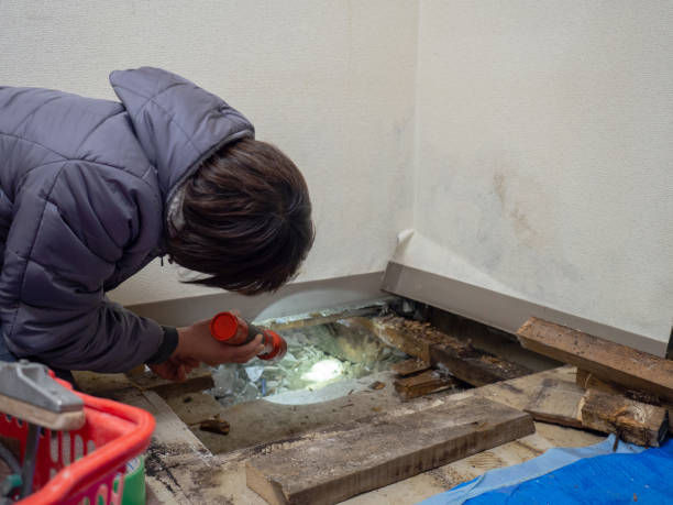Best Mold Prevention Services  in Bridgetown, OH