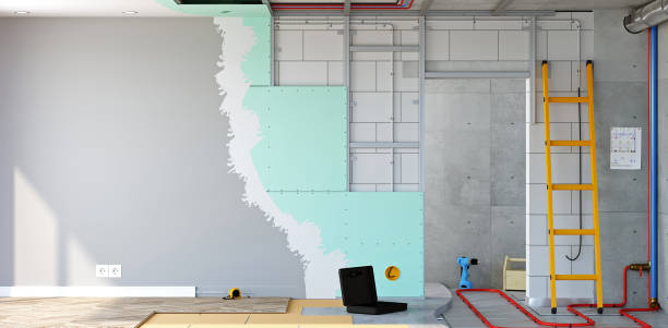 Best Post-Construction Mold Inspection  in Bridgetown, OH